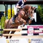 Dare De Lux<br /><i>http://interhorse.pl/wp-content/uploads/2019/05/Ma%C5%82e-1.jpg</i>