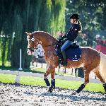 Merci - Mistrzostwa Europy Pony 2019<br />&copy; Katarzyna Broda