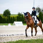 Saturn<br />&copy; Julia Świętochowska<br /><i>fb Dressage24.pl</i>