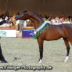 Emerald J - Emerald J 2012<br />&copy; Irina Filsinger