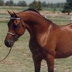 Marhaba