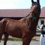 Poniatowski