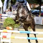Bologna - MPMK 2018 Strzegom