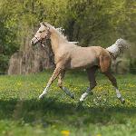 Miss Sunshine - Roczniak<br />&copy; Anna Przybył