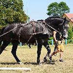 Huczna - Klikowa 2015<br />&copy; Paulina Peckiel - www.peckiel.pl