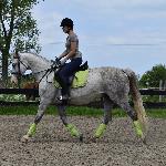 Dunka - Dunka<br />&copy; Krzysztof Trzaska<br /><i>Wielkie Wierzno dn. 28.06.2017</i>