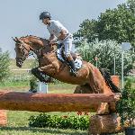 Rabata - Baborówko Horse Sale Show 2018<br />&copy; M&R Photo