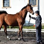 Grecja<br /><i>SK Racot, październik 2016</i>