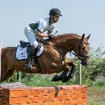 Lord Vulkan - Baborówko Horse Sale Show 2018<br />&copy; M&R Photo
