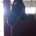 Dormeza