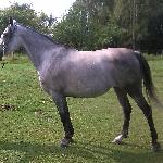 Zafra