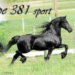Sape 381 ex Sape F.T.