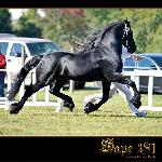 Sape 381 ex Sape F.T.