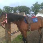 Himera