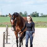 Dolores M<br />&copy; fb Equinephotobase<br /><i>MP Jakubowice 2019</i>