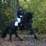 Alke 468 ex Alke van 't Kempke