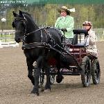 Auke
