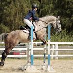 Wilburg