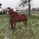 Boni<br />&copy; zbigniewradzinski