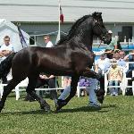 Balthe Gejlbjerg