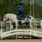 JJ Big Sky SWE ex JJ Big Sky