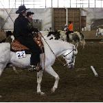 JJ Big Sky SWE ex JJ Big Sky