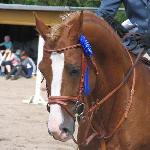 Pionier's Sjoerd NLD