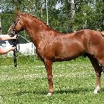 Pionier's Sjoerd NLD
