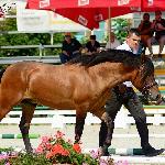 Prymus - Topolczanki 3-4 września 2016<br />&copy; Paulina Peckiel www.peckiel.pl