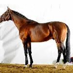Duke of Hearts