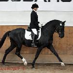 Pin Rock's Black Velvet
