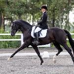 Pin Rock's Black Velvet