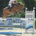Narnia M - PP strzegom<br />&copy; Roksana Oczki