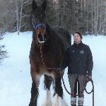 Majagårdens Amanda