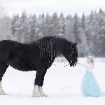 Highland Beyonce