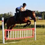 Lucca Ask