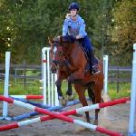 Lucca Ask