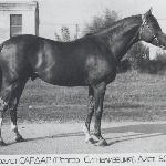 Sardar / Gardar
