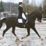 Angard GER ex. Angard