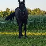 Helios