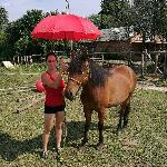 Amorek<br />&copy; Iga Dachno