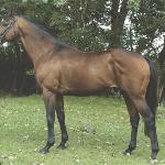 Desirao