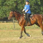 Faul