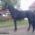 Copernicus