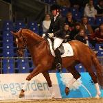 Lodestar (Blue Hors Lodestar)