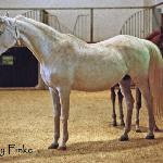 Farba