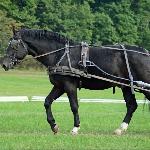 Jurand