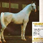 Aramis / Aramus