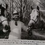 Elkin - Trener Jim Taasaas i Elkin (Aquinor x Ellenai) oraz Elkana (Aquinor x Estebna)