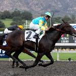 Pioneerof the Nile